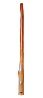 Tristan O'Meara Didgeridoo (TM188)