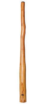 Tristan O'Meara Didgeridoo (TM190)