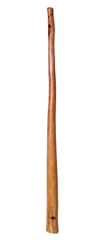 Tristan O'Meara Didgeridoo (TM192)