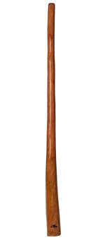 Tristan O'Meara Didgeridoo (TM195)