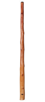 Tristan O'Meara Didgeridoo (TM196)