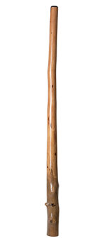 Tristan O'Meara Didgeridoo (TM204)