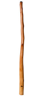 Tristan O'Meara Didgeridoo (TM208)