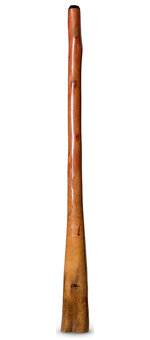 Tristan O'Meara Didgeridoo (TM210)