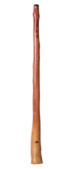 Tristan O'Meara Didgeridoo (TM215)