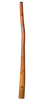 Tristan O'Meara Didgeridoo (TM216)