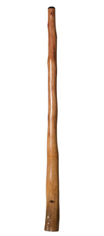 Tristan O'Meara Didgeridoo (TM217)