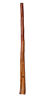 Tristan O'Meara Didgeridoo (TM220)