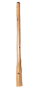 Tristan O'Meara Didgeridoo (TM221)