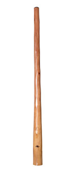 Tristan O'Meara Didgeridoo (TM222)