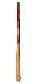 Tristan O'Meara Didgeridoo (TM223)