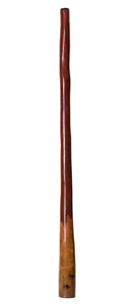 Tristan O'Meara Didgeridoo (TM224)