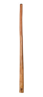 Tristan O'Meara Didgeridoo (TM225)