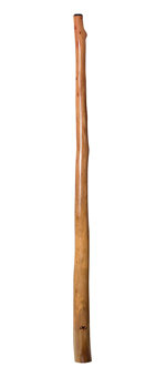 Tristan O'Meara Didgeridoo (TM226)