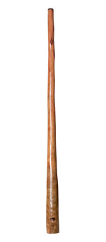 Tristan O'Meara Didgeridoo (TM227)