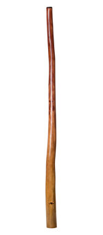 Tristan O'Meara Didgeridoo (TM228)