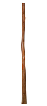 Tristan O'Meara Didgeridoo (TM231)