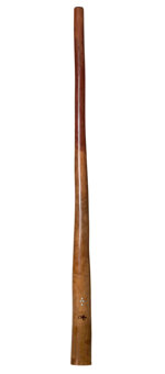 Tristan O'Meara Opal Series Didgeridoo (TM233)
