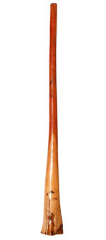 Tristan O'Meara Didgeridoo (TM234)
