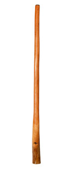 Tristan O'Meara Didgeridoo (TM235)