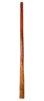 Tristan O'Meara Didgeridoo (TM236)
