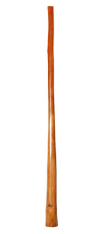 Tristan O'Meara Didgeridoo (TM237)