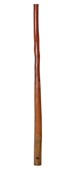 Tristan O'Meara Didgeridoo (TM239)