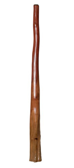 Tristan O'Meara Didgeridoo (TM242)