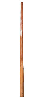 Tristan O'Meara Didgeridoo (TM245)