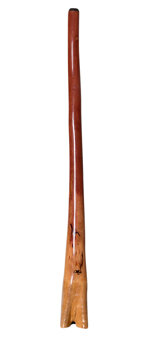 Tristan O'Meara Didgeridoo (TM248)