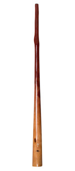 Tristan O'Meara Opal Series Didgeridoo (TM249)