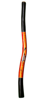  Vicki Harding Didgeridoo (TW166)