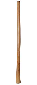Natural Finish Didgeridoo (TW183)
