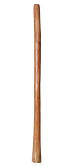 Natural Finish Didgeridoo (TW184)