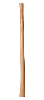 Natural Finish Didgeridoo (TW194)