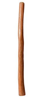 Medium Size Natural Finish Didgeridoo (TW203)