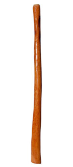 Gloss Finish Didgeridoo (TW214)