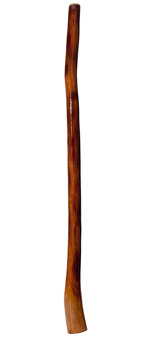 Gloss Finish Didgeridoo (TW218)