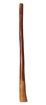 Gloss Finish Didgeridoo (TW237)
