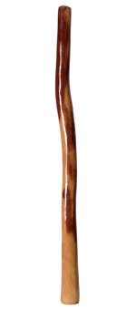 Gloss Finish Didgeridoo (TW238)