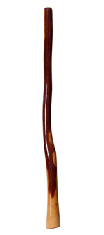 Gloss Finish Didgeridoo (TW240)