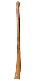 Gloss Finish Didgeridoo (TW242)