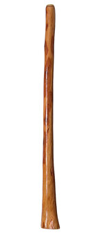 Gloss Finish Didgeridoo (TW246) 