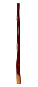 Gloss Finish Didgeridoo (TW259)