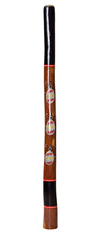 Vicki Harding Didgeridoo (TW276)