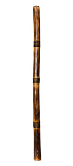 Rope & Burnt Finish Didgeridoo (TW308)