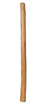 Medium Size Natural Finish Didgeridoo (TW339)