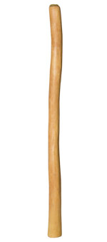 Medium Size Natural Finish Didgeridoo (TW341)