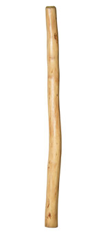 Medium Size Natural Finish Didgeridoo (TW343)