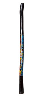Vicki Harding Didgeridoo (TW382)